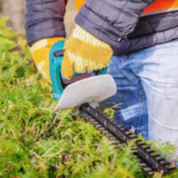 Landscaper Landscaper