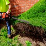 Landscaper3 Landscaper3