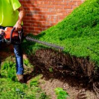 Landscaper3 Landscaper3