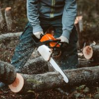 Logger Logger