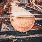Sawmill Sawmill