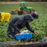FarmWorkers FarmWorkers