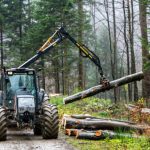 Logging